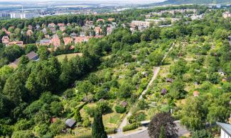 Luftbild von der Kleingartenanlage am Rohns im Sommer 2013